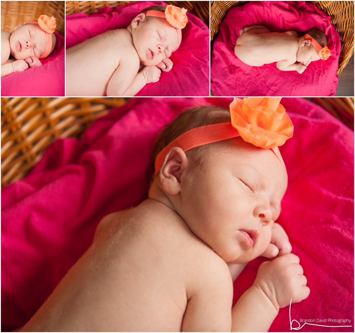 Newborn Photography Ontario